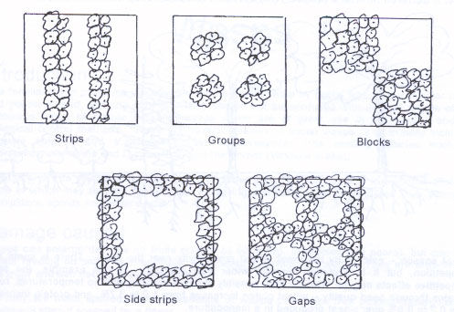 Figure 3 - Coarse pattern arrangements
