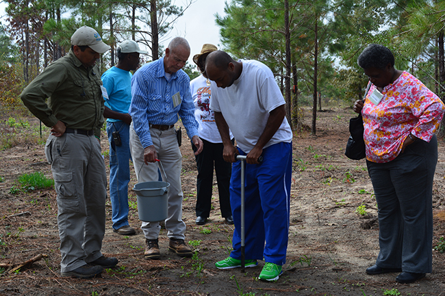  Agroforestry trainees 