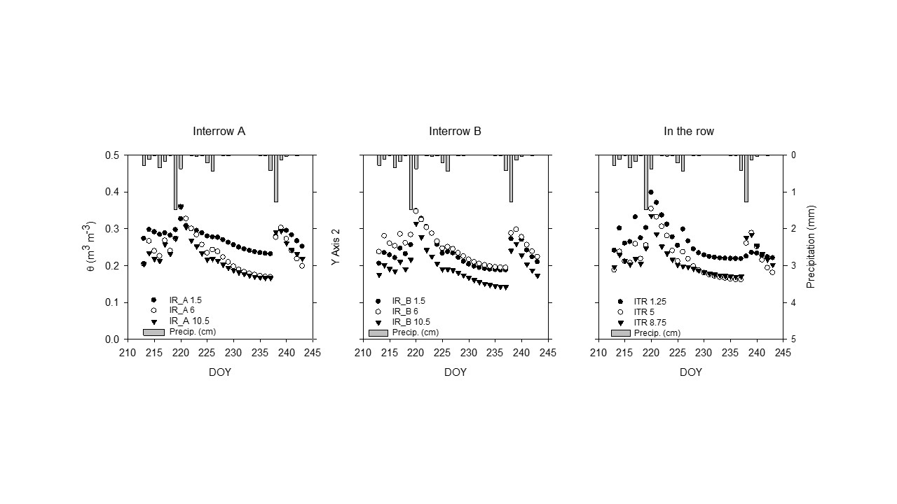 Soil Moisture Graphs