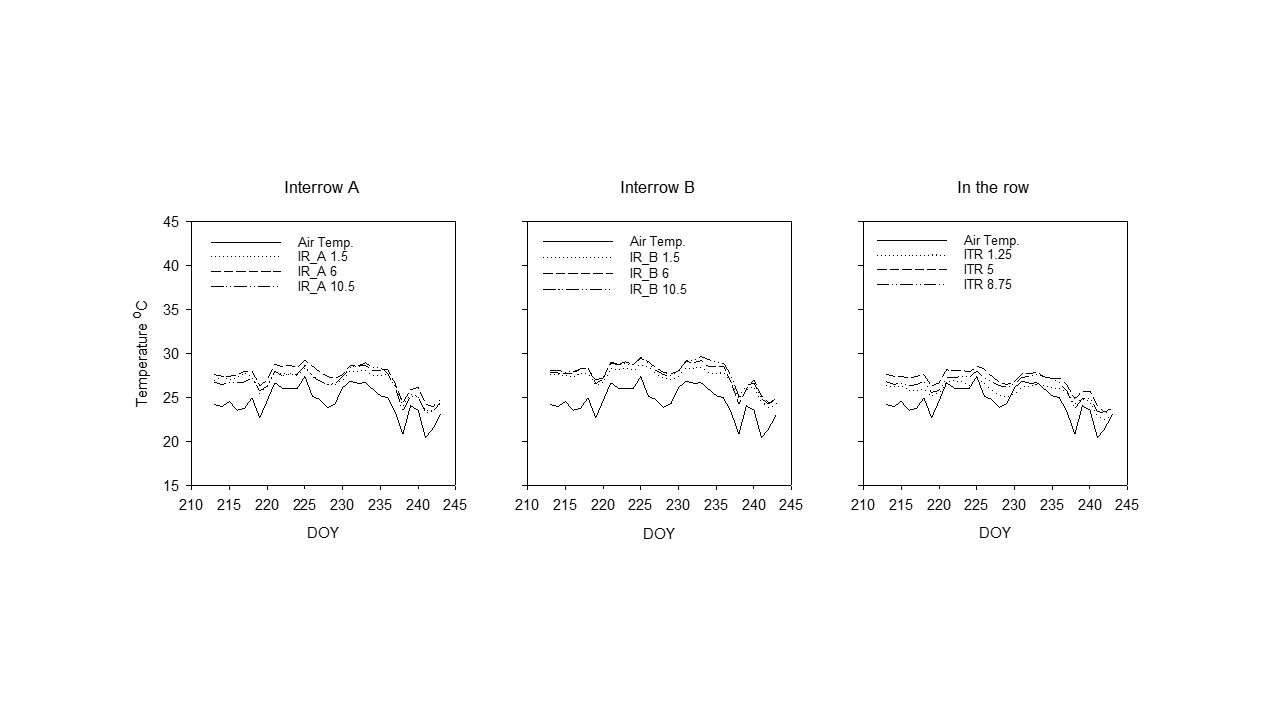 Soil Temperature Graphs