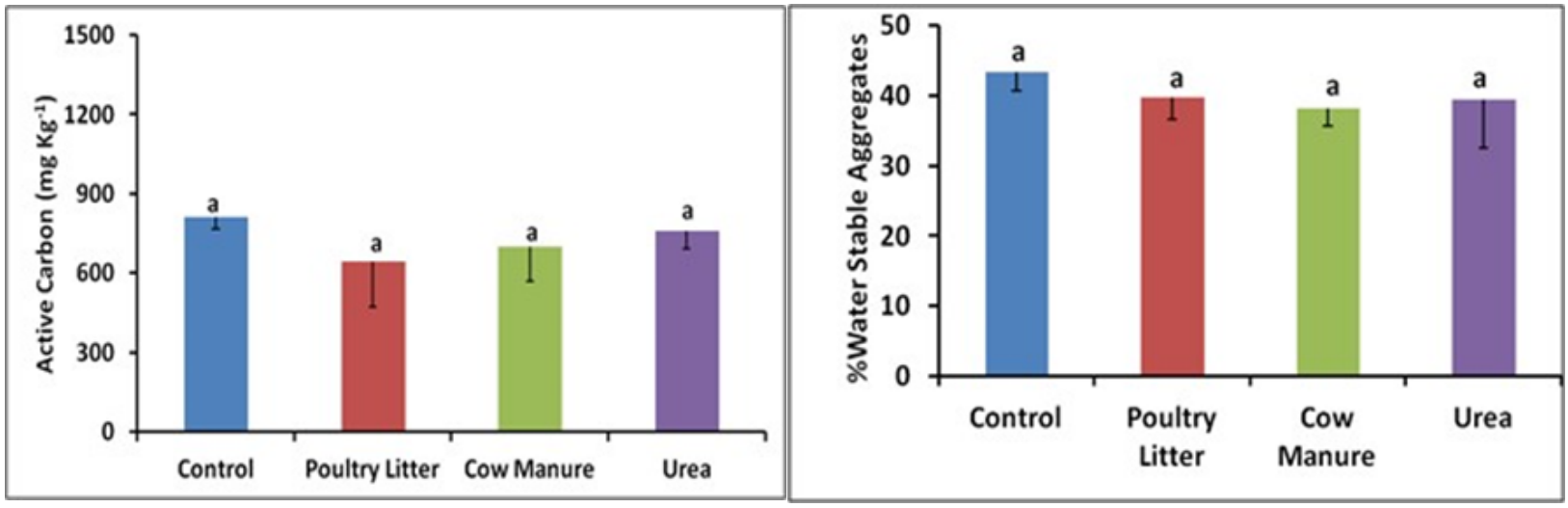 Kibet Graph 12