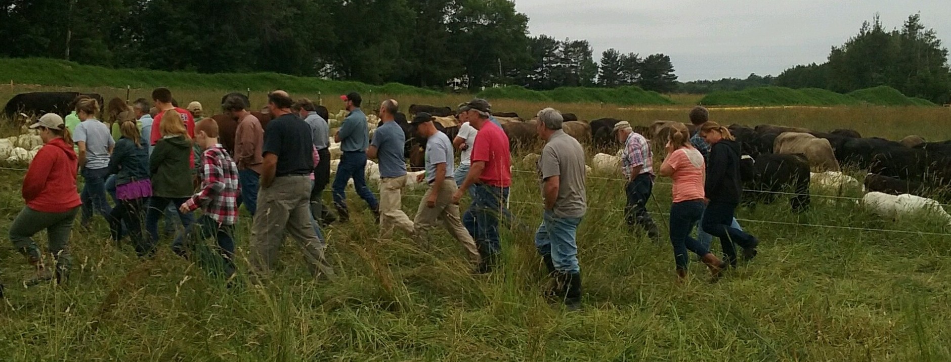 burns pasture walk 7 8 15