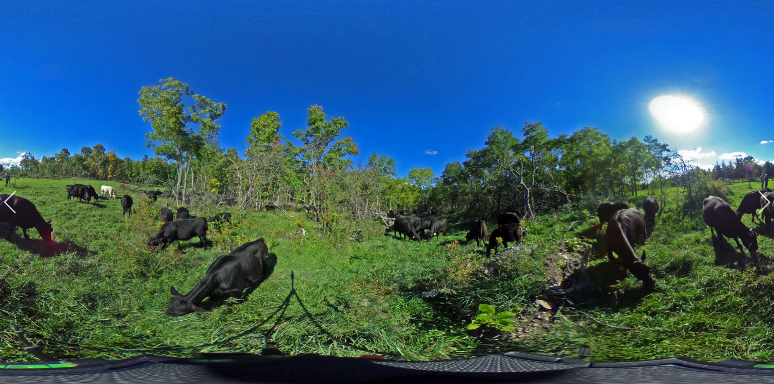 Figure 1. A virtual tour of Angus Glen Farm in New York takes you through the farm “as if you were there”.