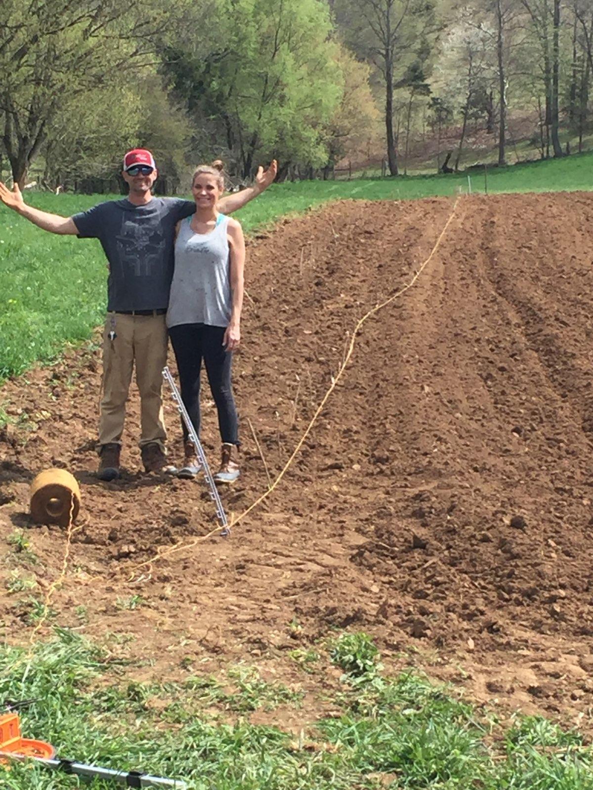 David Wallace Plot Establishment