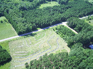 Aerial view of agroforestry planting o­n tree farm in Portage County, Central Wisconsin, southeast perspective. See larger photos at http://my.coredcs.com:80/~bbokrlwy/km070625/a070625.html. (Photo Copyright - 2007 Bruce Oldenberg)