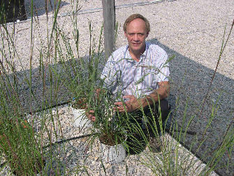 Figure 3. Jerry Van Sambeek checks health of Canada wildrye and big bluestem plants growing under 80 percent shade cloth.