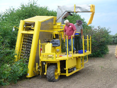Cherry Harvester at Outlook Research Site