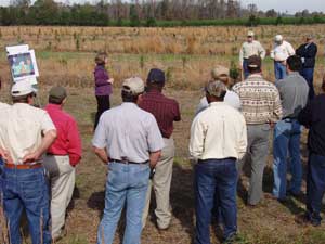 Silvopasture field day