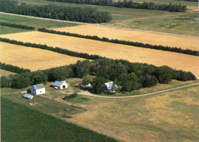 windbreaks rural living